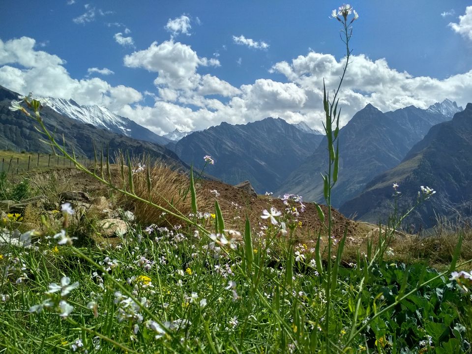 Photo of Beyond Rohtang Pass - Lahaul. 3/23 by Nikita