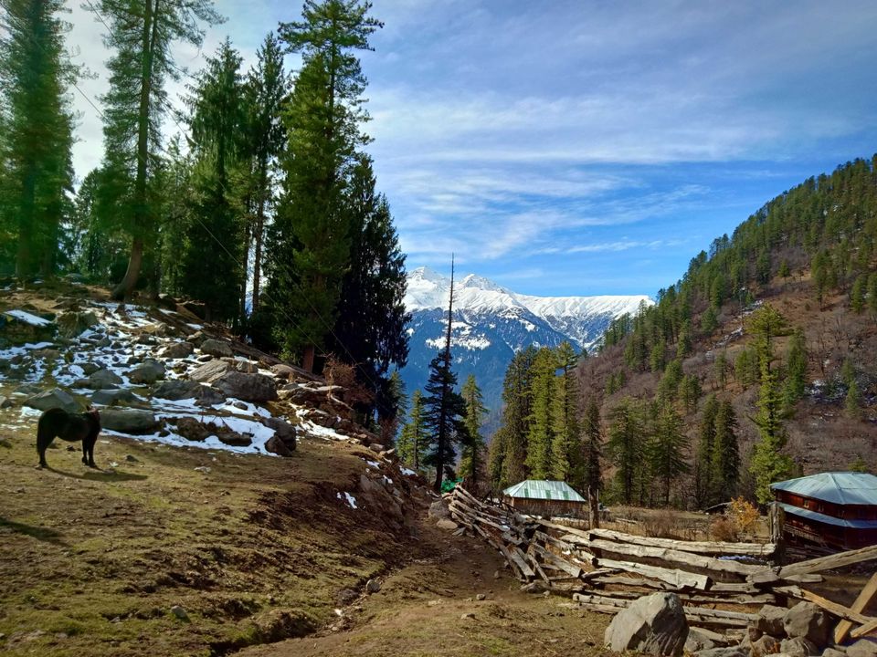 Photo of Chalal and Kutla instead of Kasol and Tosh by Devanshu Raj