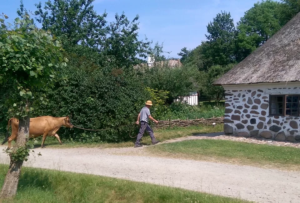 Photo of Den Fynske Landsby (Odense Kommune), Odense, Denmark by Eve Ha