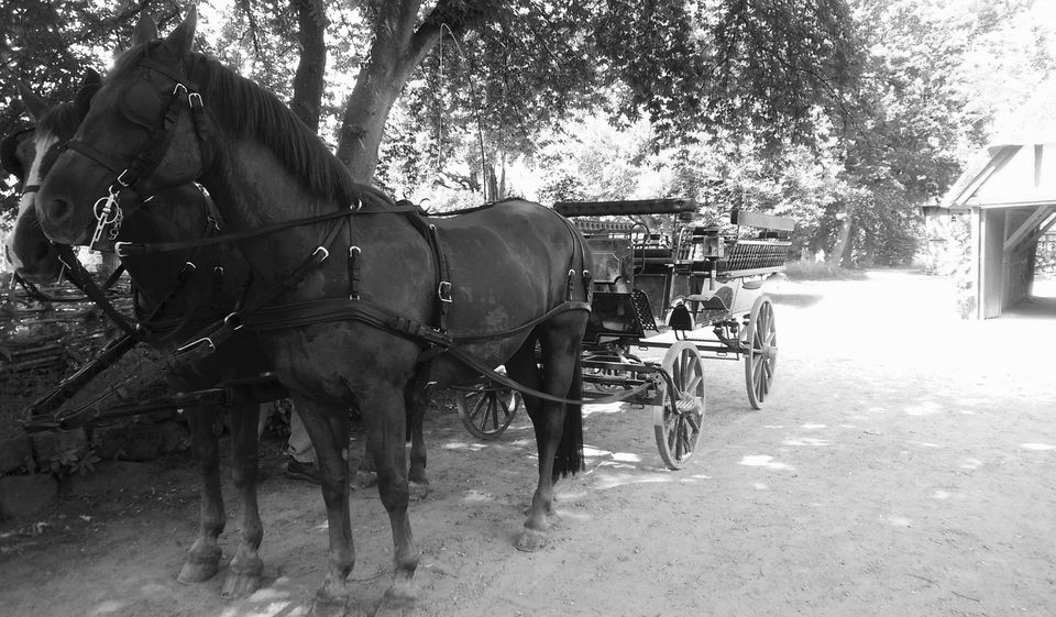 Photo of My 1st Solo Trip – Denmark by Eve Ha
