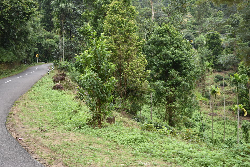 Photo of Ponmudi Hills.... One of coolest top of Kerala 2/7 by Shivam Sharma