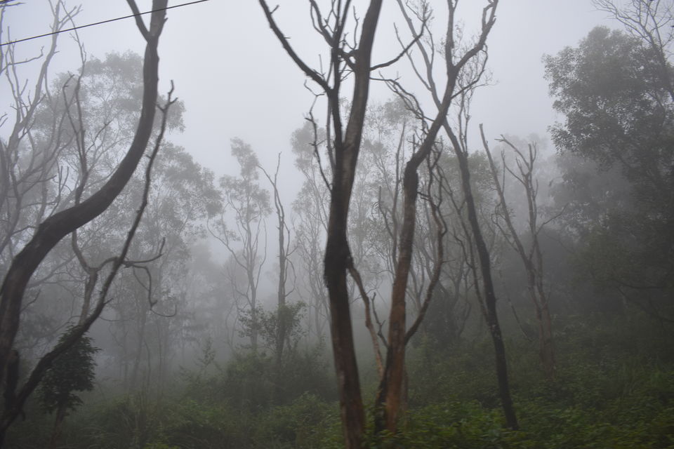 Photo of Ponmudi Hills.... One of coolest top of Kerala 6/7 by Shivam Sharma