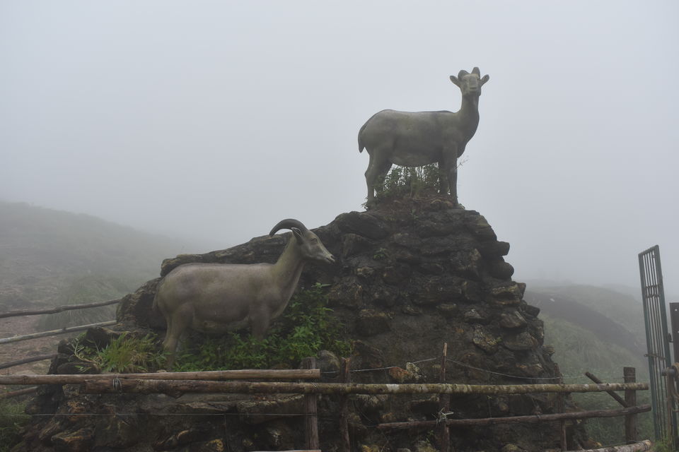 Photo of Ponmudi Hills.... One of coolest top of Kerala by Shivam Sharma