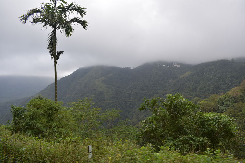 Photo of Ponmudi Hills.... One of coolest top of Kerala by Shivam Sharma