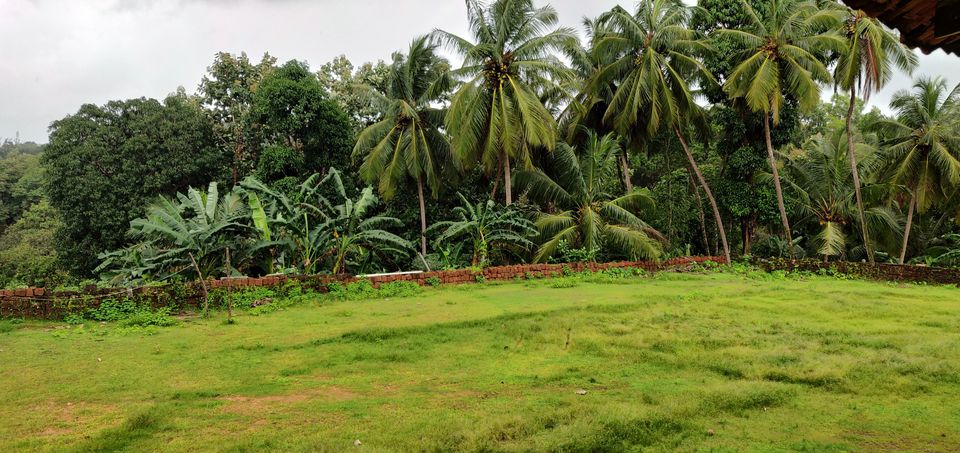 Photo of A hidden gem in the midst of coastal Karnataka 11/11 by Vighnaraj Bhat
