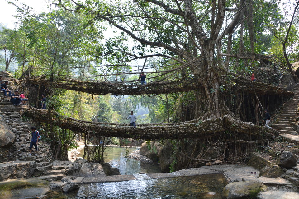 Photo of 12 Days of Off-Season Offbeat Road Trip Through North-East India That Could Change Your Life by Vighnaraj Bhat