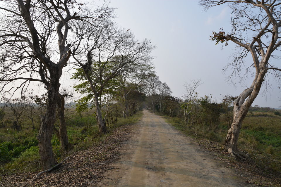 Photo of 12 Days of Off-Season Offbeat Road Trip Through North-East India That Could Change Your Life 40/107 by Vighnaraj Bhat