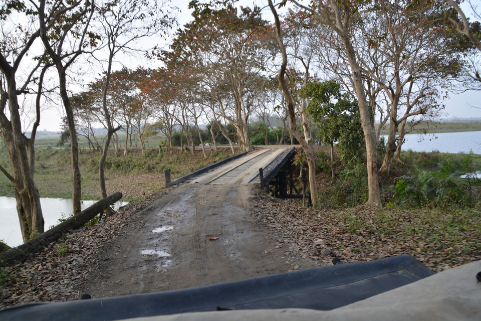 Photo of 12 Days of Off-Season Offbeat Road Trip Through North-East India That Could Change Your Life 41/107 by Vighnaraj Bhat