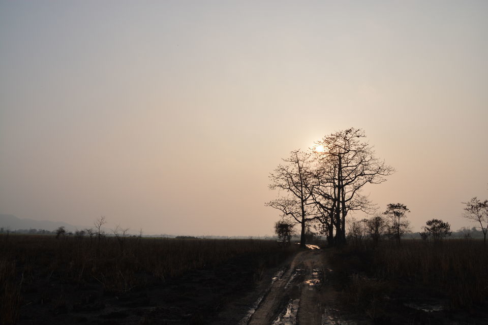 Photo of 12 Days of Off-Season Offbeat Road Trip Through North-East India That Could Change Your Life 45/107 by Vighnaraj Bhat