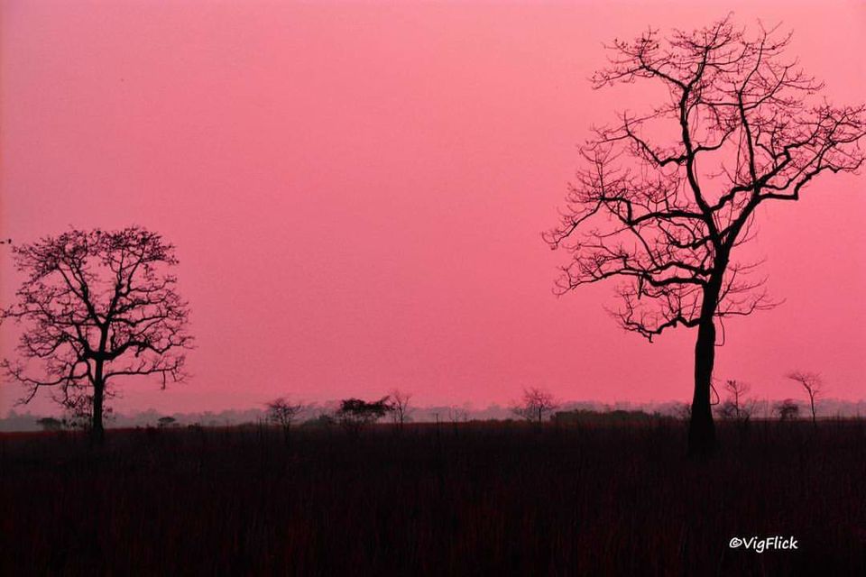 Photo of 12 Days of Off-Season Offbeat Road Trip Through North-East India That Could Change Your Life 47/107 by Vighnaraj Bhat