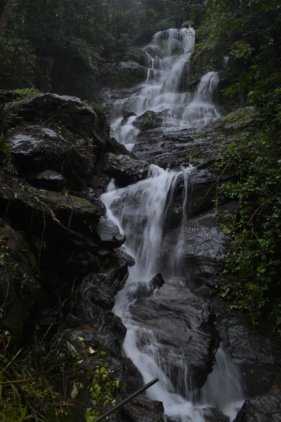 Photo of Majestic Malenadu (1) - Hulikal Ghat, Savehaklu & Chakra Dam 1/18 by Vighnaraj Bhat