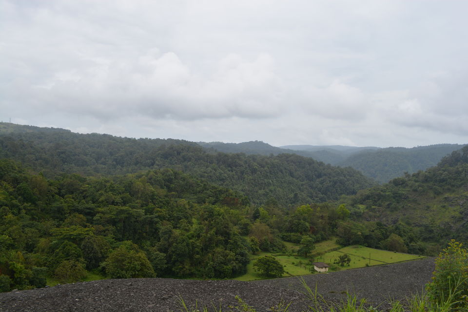 Photo of Majestic Malenadu (1) - Hulikal Ghat, Savehaklu & Chakra Dam 11/18 by Vighnaraj Bhat