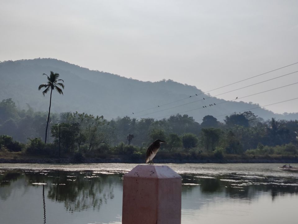 Photo of Varanga Lake (kere) Basadi, Varanga Jain Math Road, Varanga, Karnataka, India by Vighnaraj Bhat