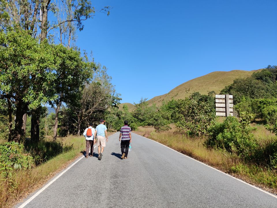 Photo of Kurinjal Peak: A Not-So-Well-Known Peak in Kuduremukha Range, Karnataka 2/7 by Vighnaraj Bhat