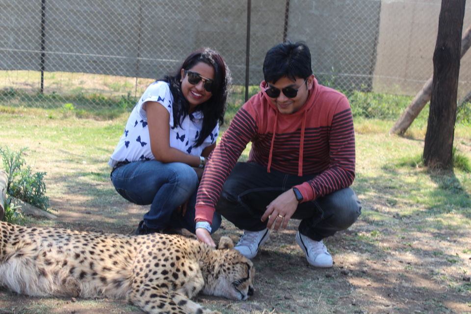 Photo of Date with African Lions! 3/15 by Amrita