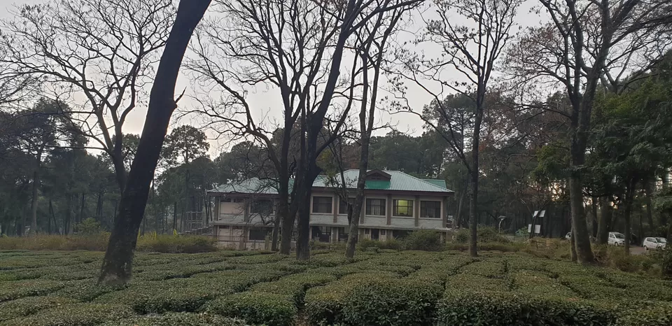 Photo of Palampur, Himachal Pradesh, India by Kajal Jain