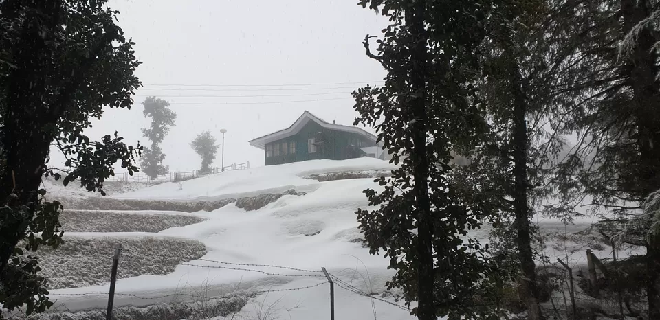 Photo of Kufri, Himachal Pradesh, India by Kajal Jain