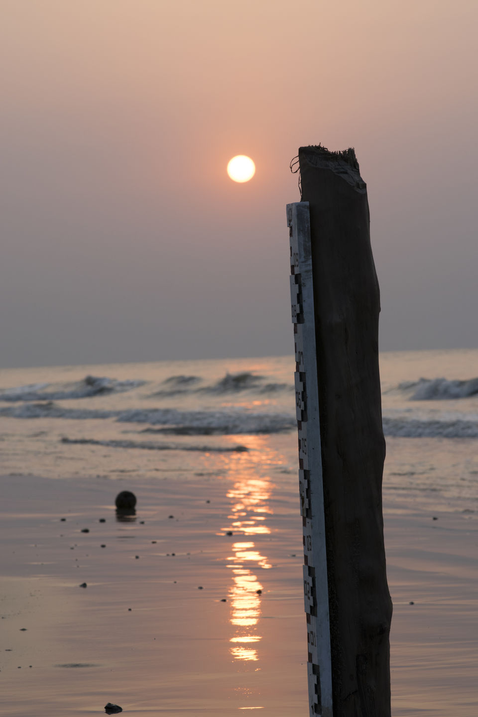 Photo of "A journey of a thousand miles begins with a single step" by Avi Jit