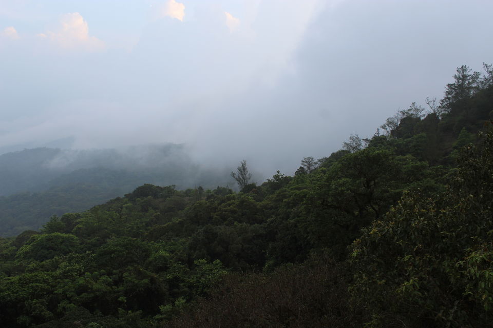 Photo of Tala Kaveri, Karnataka, India by GK