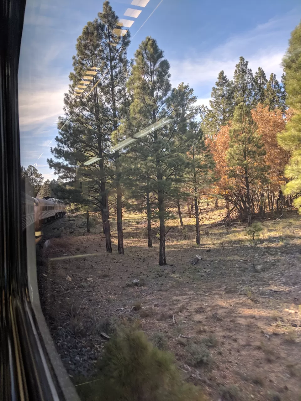 Photo of My travel guide to the Grand Canyon by Roshni Karthikeyan