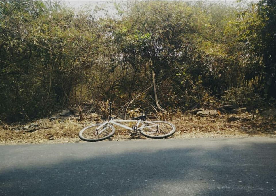 Photo of Sanjay Gandhi National Park, Borivali East, Mumbai, Maharashtra, India by Arzoo Shaikh