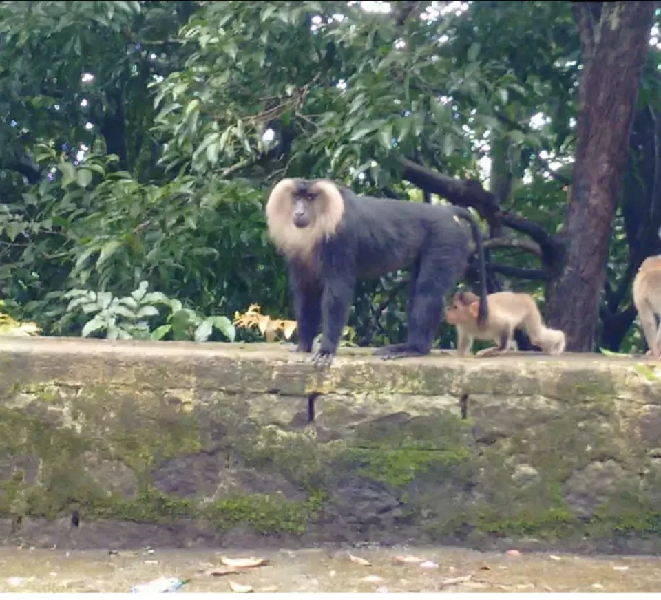 Photo of Agumbe Ghat Check Point, State Highway 1, Agumbe, Karnataka, India by Rukmini Pranatharthiharan