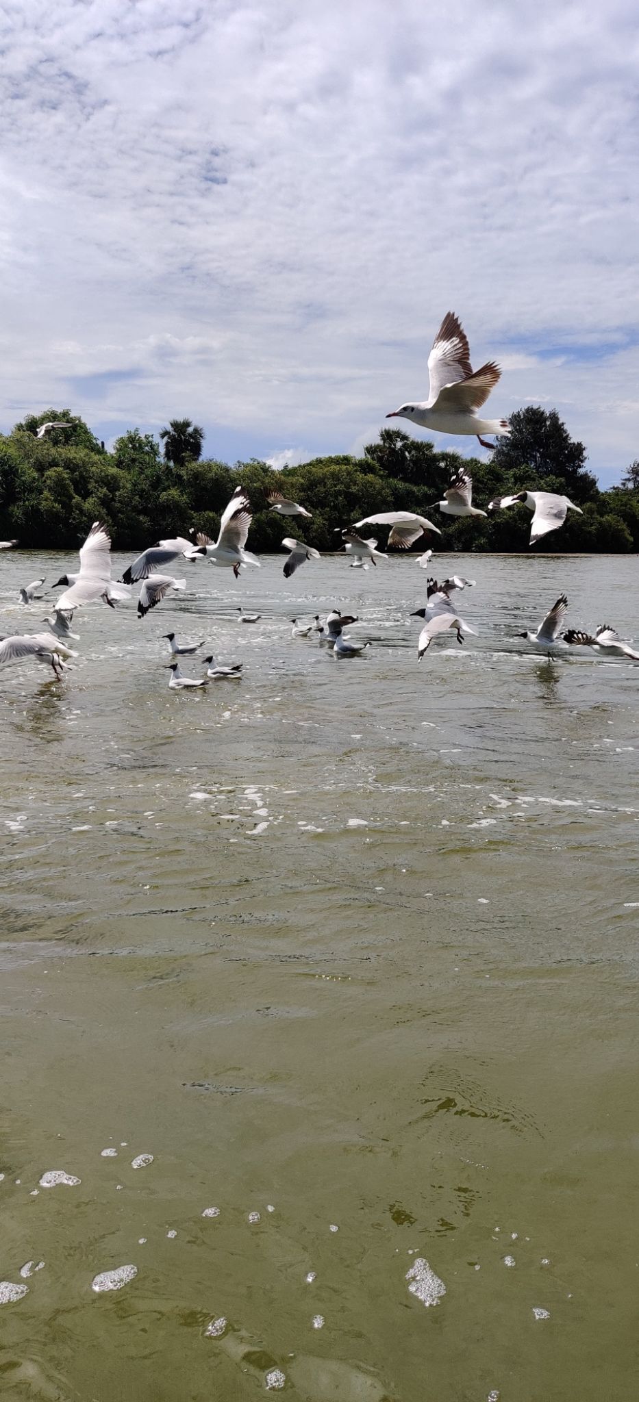 Photo of Mudhaliyar Kuppam - Peace Amidst The City Buzz by Rukmini Pranatharthiharan