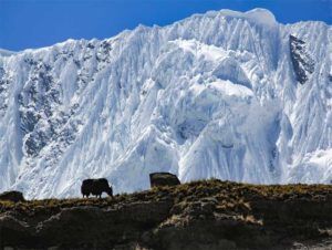Photo of Why People Are Interested In Nar Phu Valley With Mesokanto-La Pass And Tilicho Lake Trek - 5/9 by Access The Asia Treks