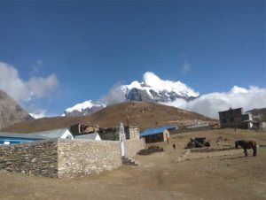 Photo of Why People Are Interested In Nar Phu Valley With Mesokanto-La Pass And Tilicho Lake Trek - 9/9 by Access The Asia Treks