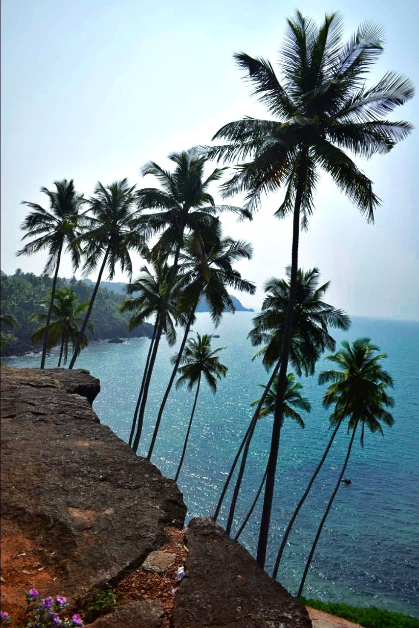 Photo of Goa by Sneha Ubhe