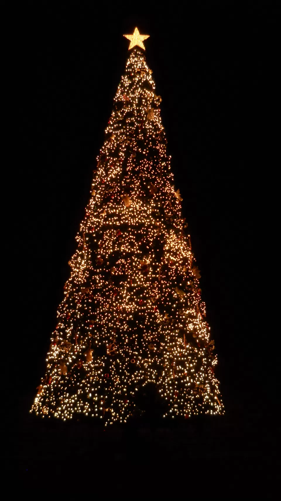 Photo of Bangkok, Bangkok, Thailand by Mrudula