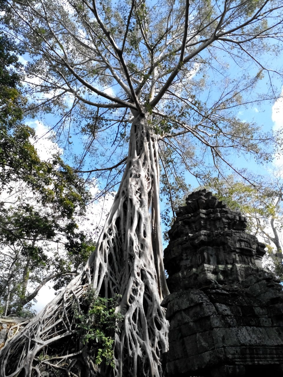 Photo of Cambodia - Life and After 4/7 by Mrudula