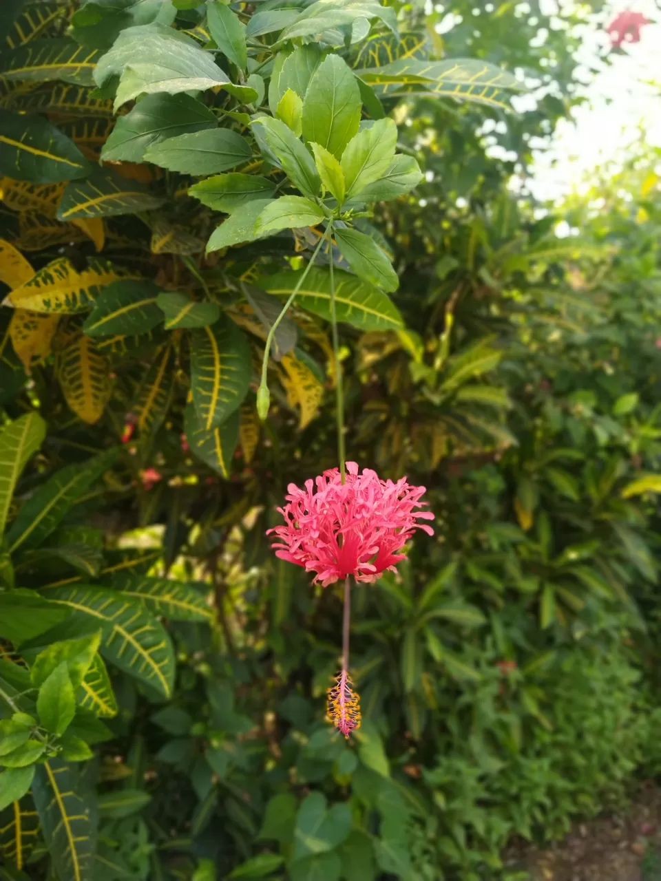 Photo of Shrivardhan by poojac03