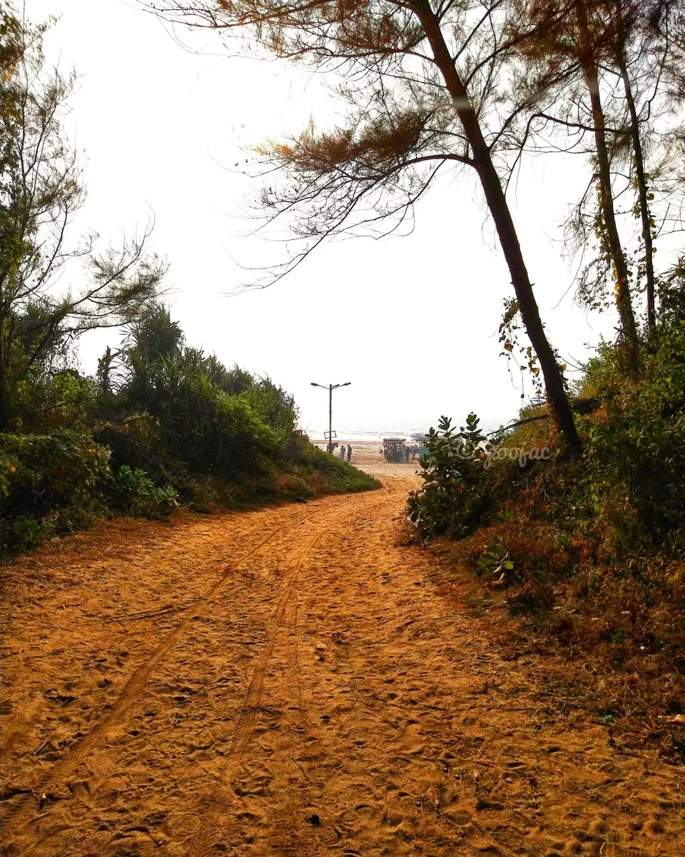 Photo of Diveagar by poojac03