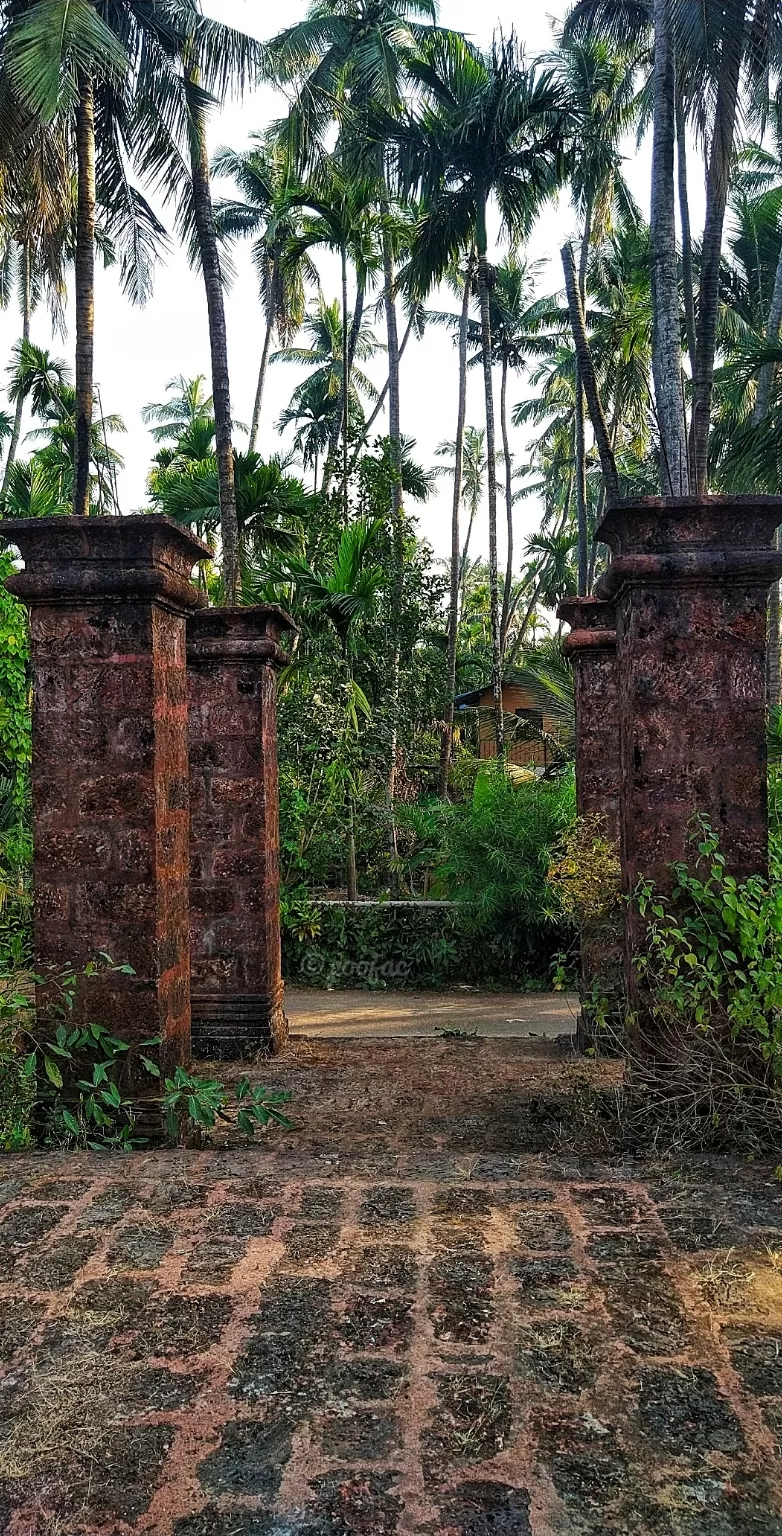 Photo of Diveagar by poojac03