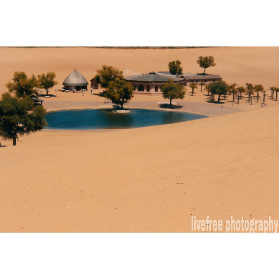 Photo of COUPLE GOAL - Have a romantic date sitting amidst an oasis and fall in love with golden sunset. by Gaurav Sharma