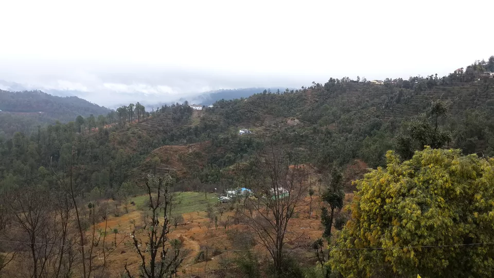 Photo of Sitla Estate, Nainital, Uttarakhand, India by Sumana Srivastava