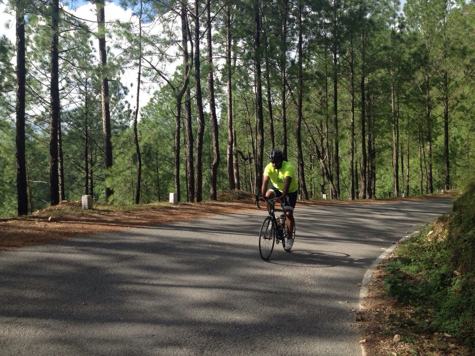 Photo of Cycling in the hills of Kumaon/ Nainitaal 7/10 by Sumana Srivastava