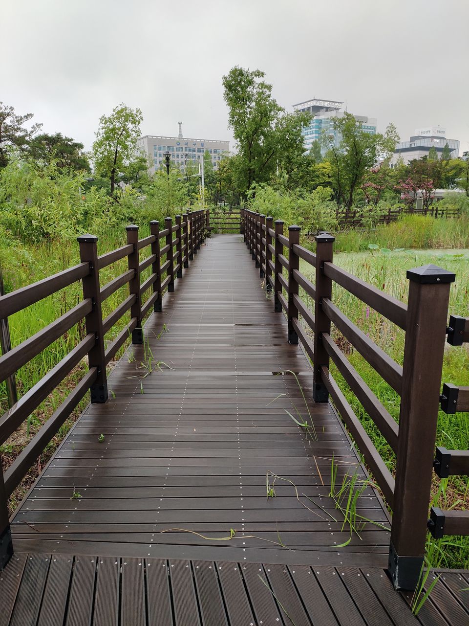 Photo of Daejeon, South Korea by Shobhit Srivastava