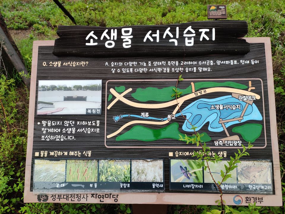 Photo of Daejeon, South Korea by Shobhit Srivastava