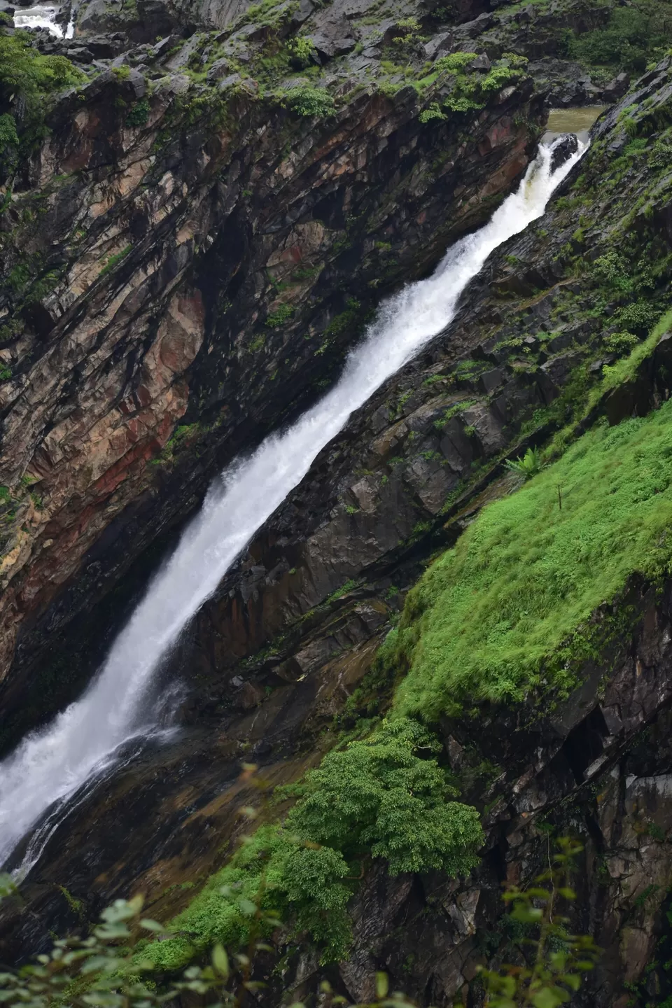 Photo of Jog falls by Bhumika Dandin