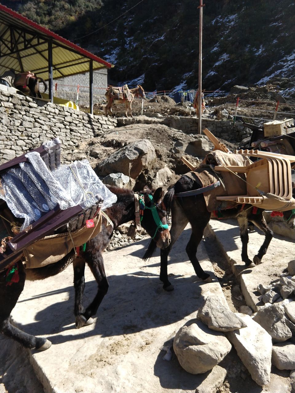 Photo of Gateway to Heaven - Kedarnath by Ravi Kant