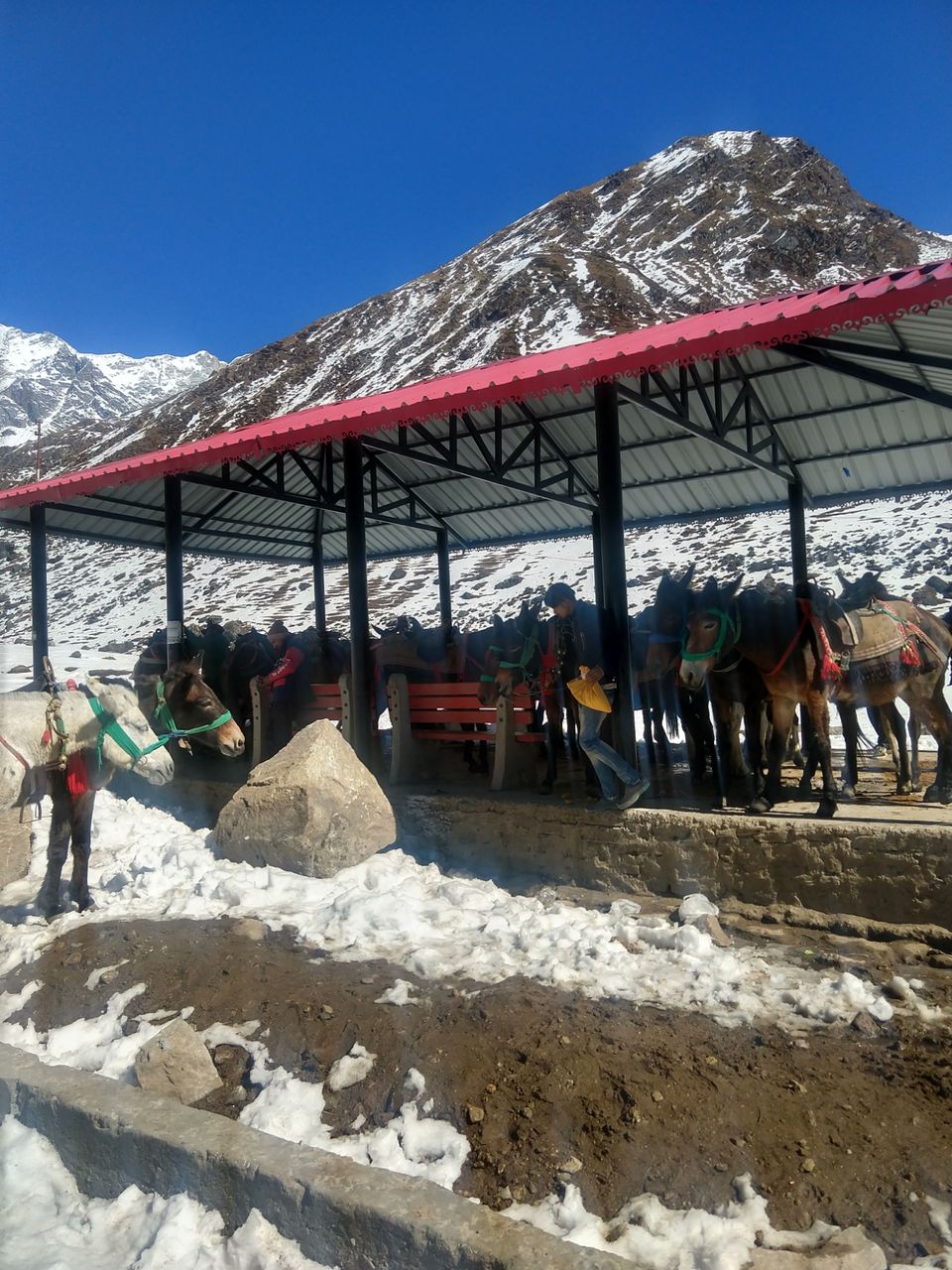 Photo of Gateway to Heaven - Kedarnath by Ravi Kant