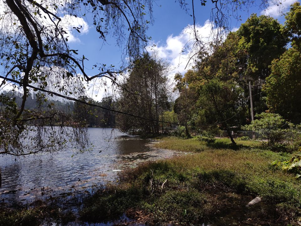 Photo of Kodaikanal Lake, Kodaikanal, Tamil Nadu by AJAY