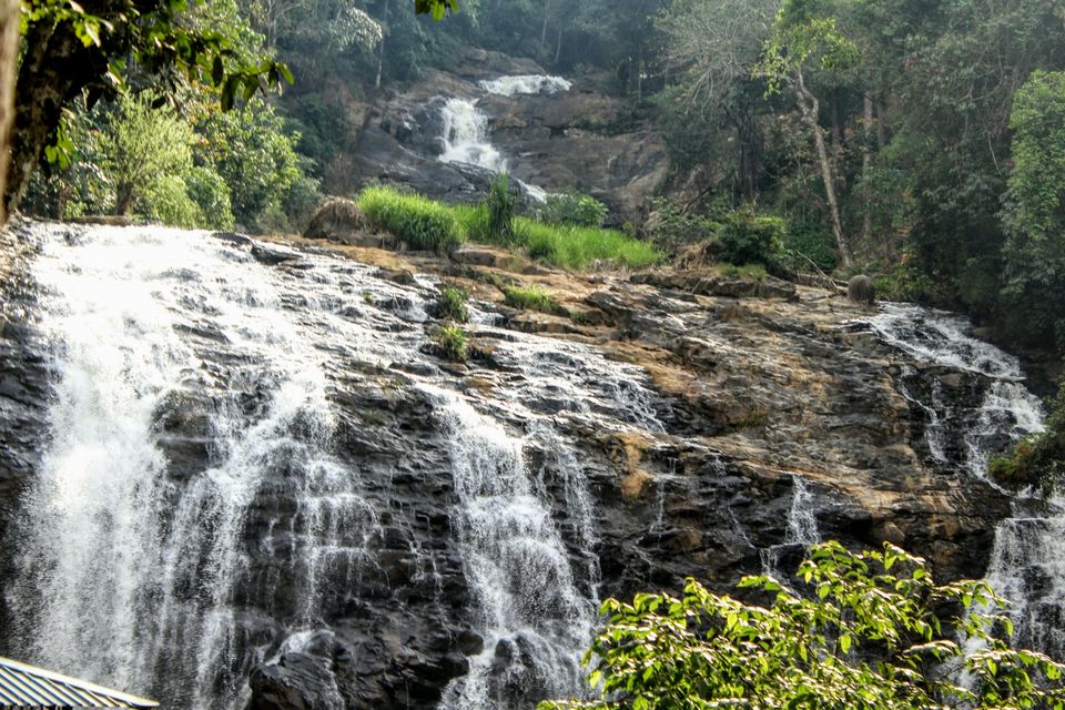 Photo of Coorg, Karnataka, India by Ronit Vardhamane
