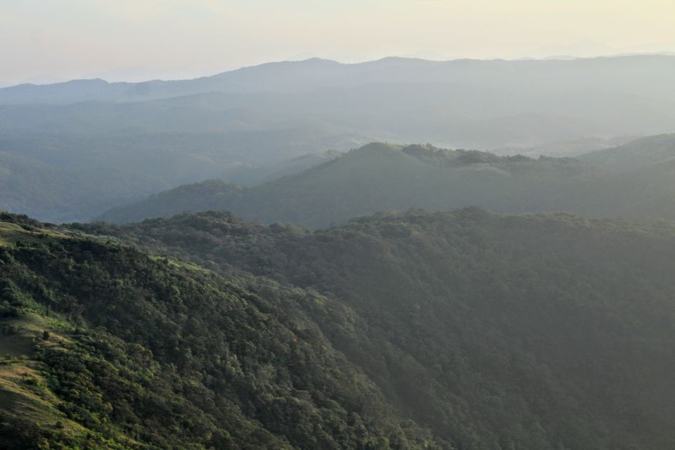 Photo of Coorg, Karnataka, India by Ronit Vardhamane