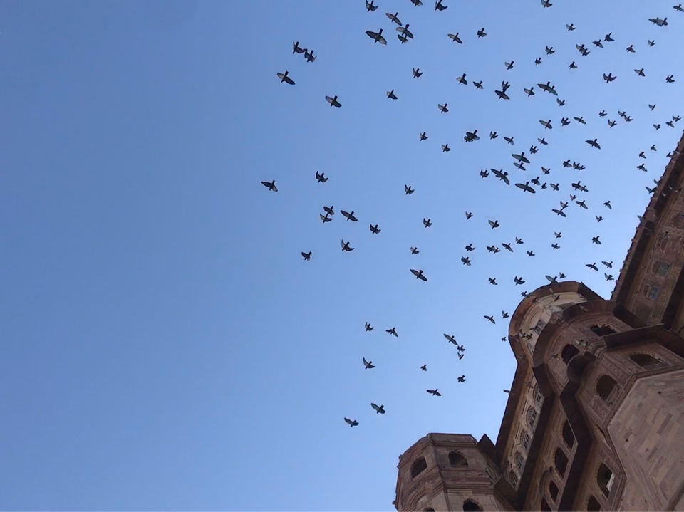 Photo of Mehrangarh Fort ( Tips And Tricks) by Vipul Singh Raghuwanshi