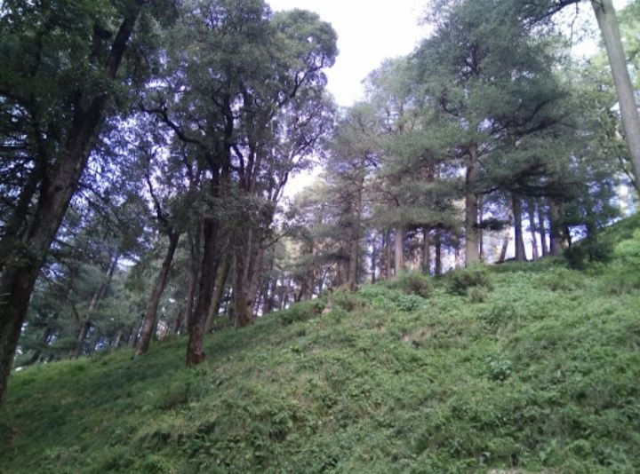 Photo of Shimla, Himachal Pradesh, India by Manoj Konduru