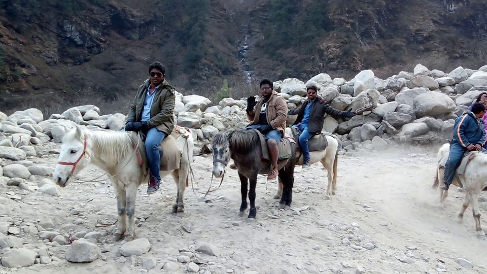 Photo of Manali, Himachal Pradesh, India by Manoj Konduru