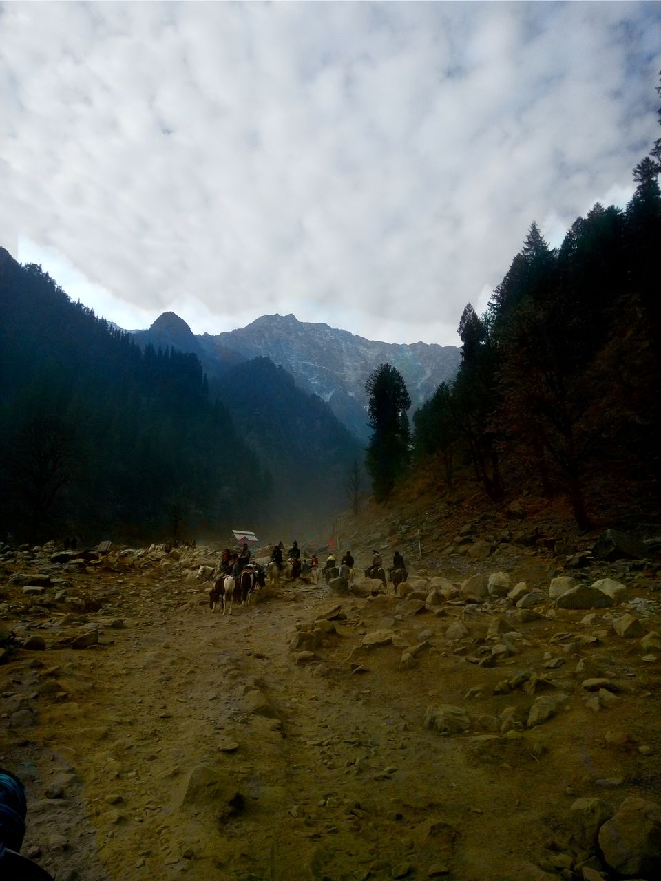 Photo of Manali, Himachal Pradesh, India by Manoj Konduru